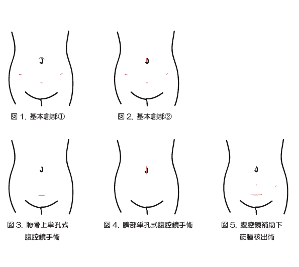 おなか